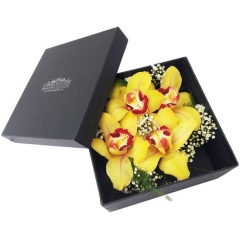 Original caja de orquideas, una forma de enviar flores a domicilio que sorprendera