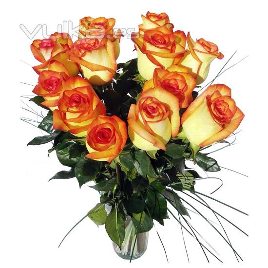 Regala rosas a domicilio. Rosas bicolor para enviar flores online.