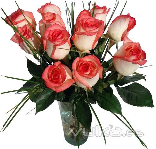 Regala rosas a domicilio. Rosas bicolor para enviar flores online.