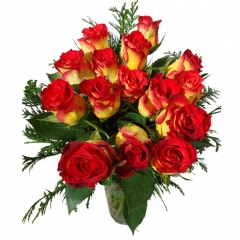 Regala rosas a domicilio bouquet de rosas bicolor para enviar flores online