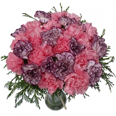 Bouquet de claveles. enviar y regalar flores a domicilio con la mejor floristera online.