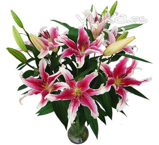 Ramo de liliums orientales. Enviar y regalar flores a domicilio con la mejor floristera online.