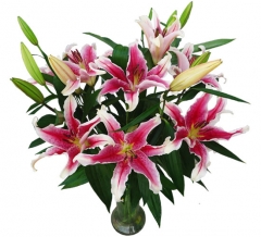 Ramo de liliums orientales enviar y regalar flores a domicilio con la mejor floristeria online