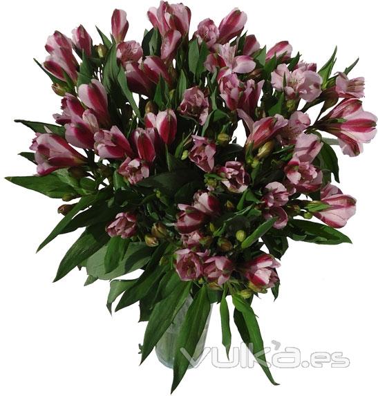 Ramo de alstroemerias. Enviar y regalar flores a domicilio con la mejor floristera online.