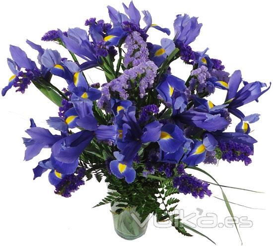 Ramo de estatices e Iris.  Enviar y regalar flores a domicilio con la mejor floristera online.