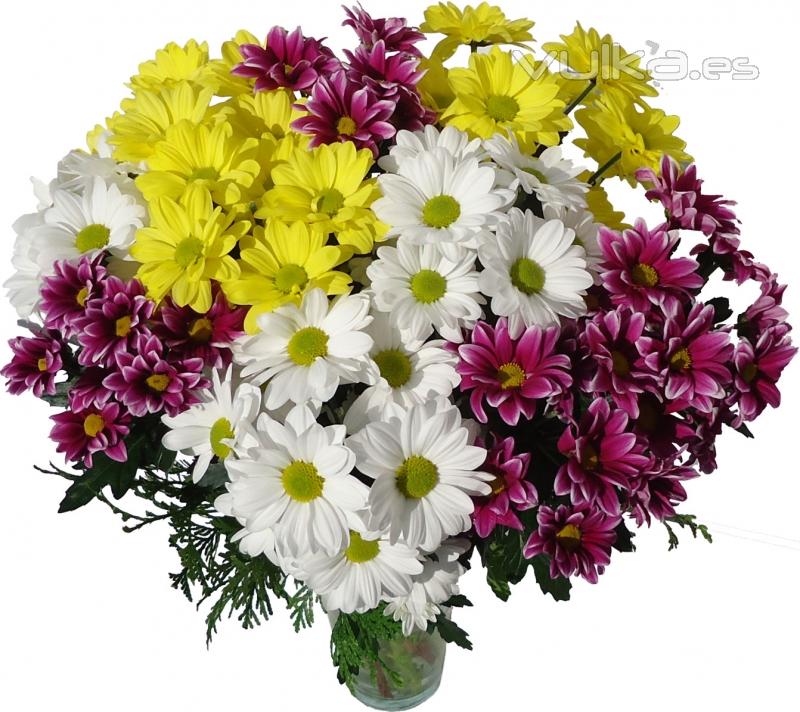 Ramo de margaritas. Enviar y regalar flores a domicilio con la mejor floristera online.