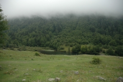 La naturaleza enrriquecedor