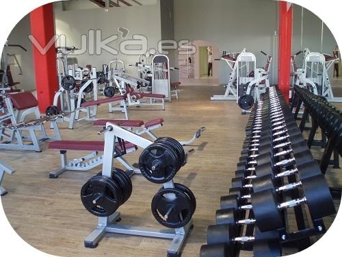 Maquinas de gimnasio Elite M-Fitness Gym S.L.