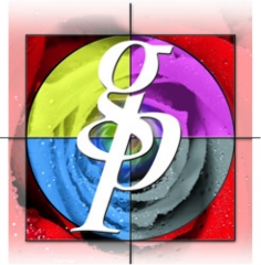 Logo graficas pamplona