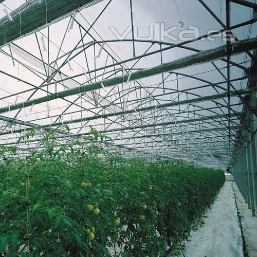 Invernadero mulitcapilla gtico para cultivo de hortalizas