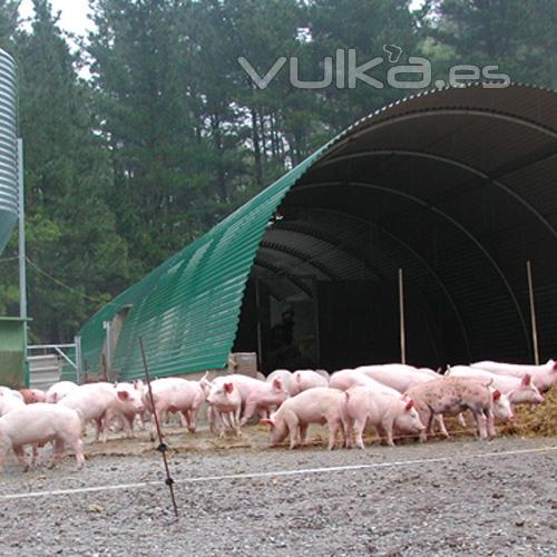 Invernadero ULMA  tipo tnel para granja de animales