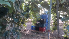 Agroserveis san marti sl - foto 6