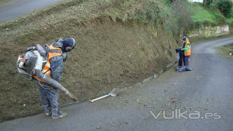 DESBROZADO Y LIMPIEZA DE CAMINOS