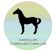 Carruaje caballos castellon - foto 5
