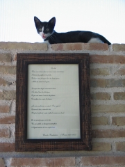 Poema baudelaire para gatos