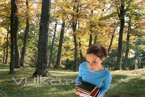 Los libros del medio ambiente