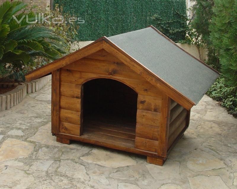casita perro