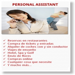 Servicios personal assistant