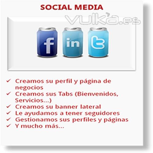 Servicios social media