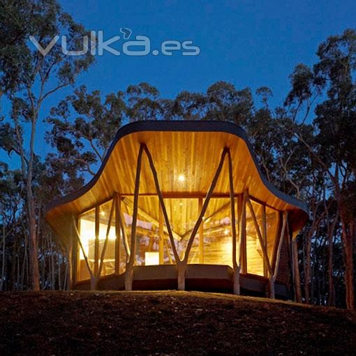 Casa tronco. Un diseo con aires de arquitectura orgnica by Paul Morgan Architects