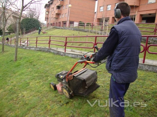 MANTENIMIENTO DE JARDINES