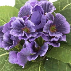 Plantas artificiales con flores. planta primula artificial violeta en la llimona home (1)