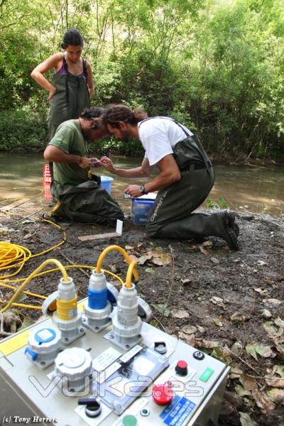 Trabajos de investigacin en campo.