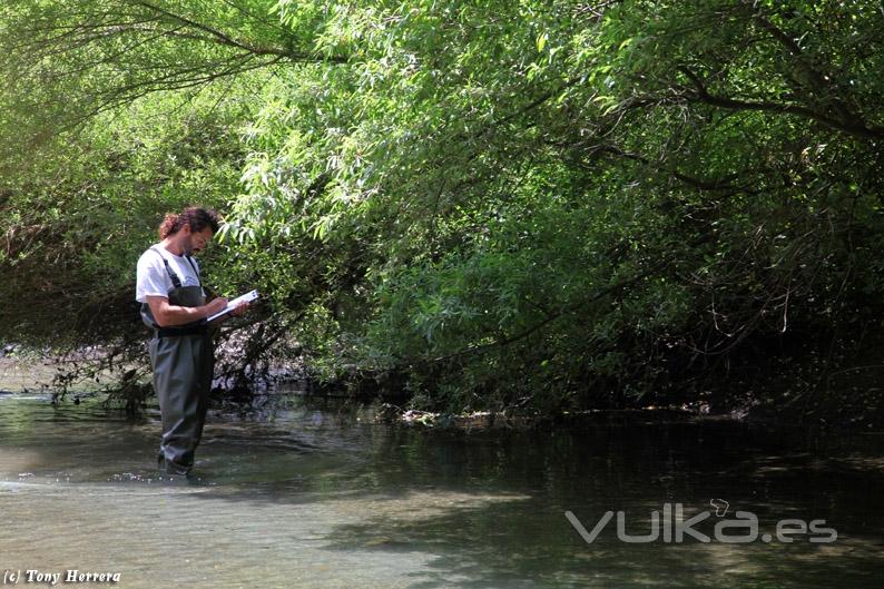 Inventariando la vegetacin de ecosistemas fluviales.