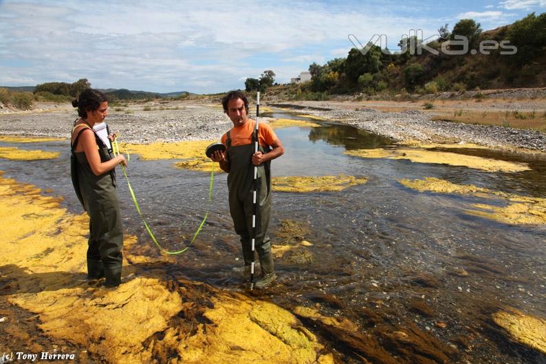 Trabajos de estudio de geomorfologa fluvial en campo.