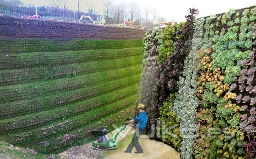 Dos verticales verdes. El muro vegetal y el geomuro verde