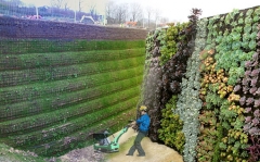 Dos verticales verdes. el muro vegetal y el geomuro verde