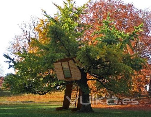 Casa AT. La casa del rbol con rbol incluido