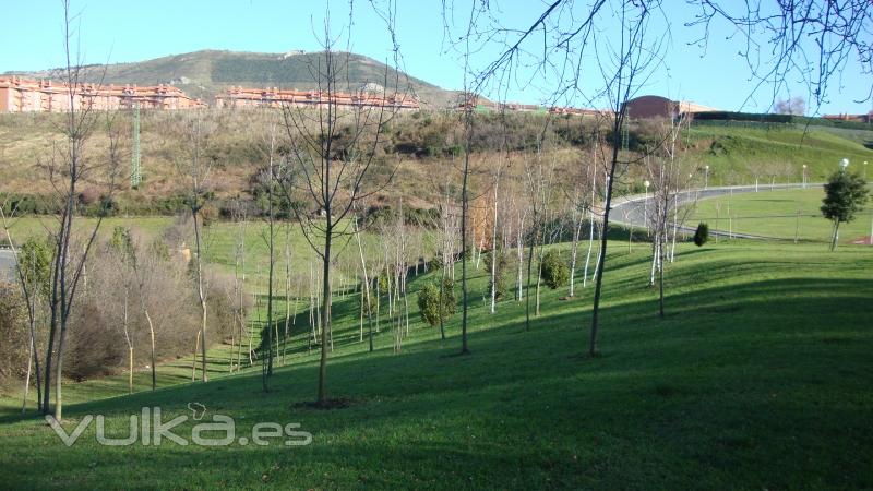 Recuperación medioambiental