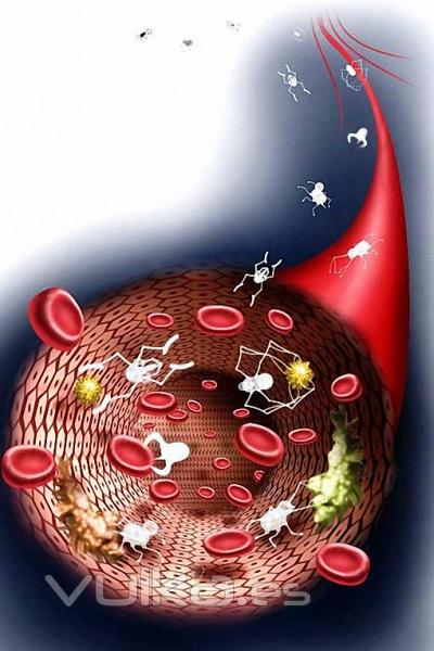 Nanotecnologa para purificar agua