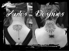 Foto 19 tatoos en León - Nova Tattoo & Piercing - Ponferrada