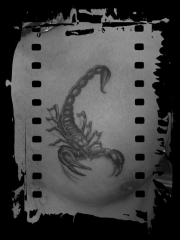 Foto 160 tatoos - Nova Tattoo & Piercing - Ponferrada