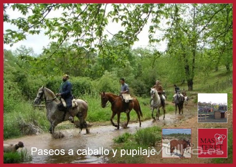 Restaurante en Tarragona Mas de Teret - Paseos a caballo