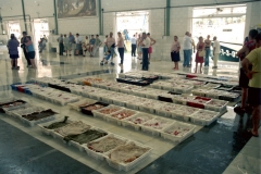 pescados y mariscos conilmar