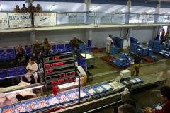 pescados y mariscos conilmar
