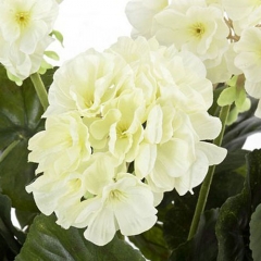 Plantas artificiales con flores planta geranio artificial blanco en lallimonacom (detalle 2)