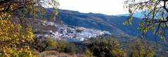 Foto 18 turismo en Granada - El Sitio