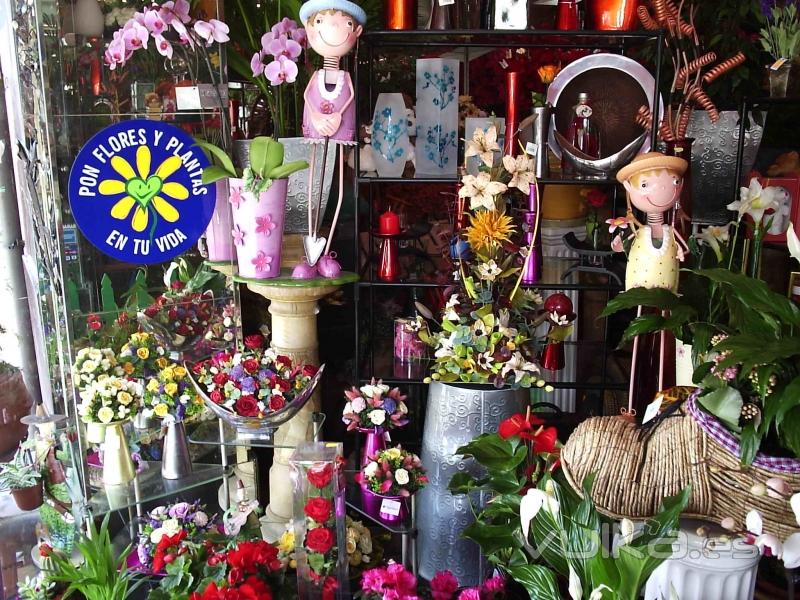 Regalos varios