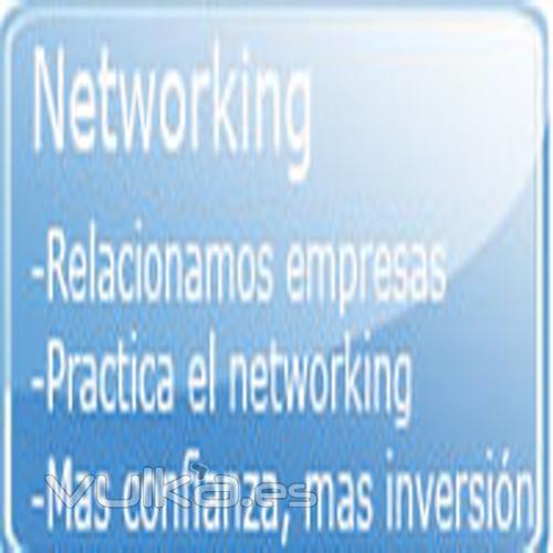 Red social para intercambio de servicios de empresas , Networking