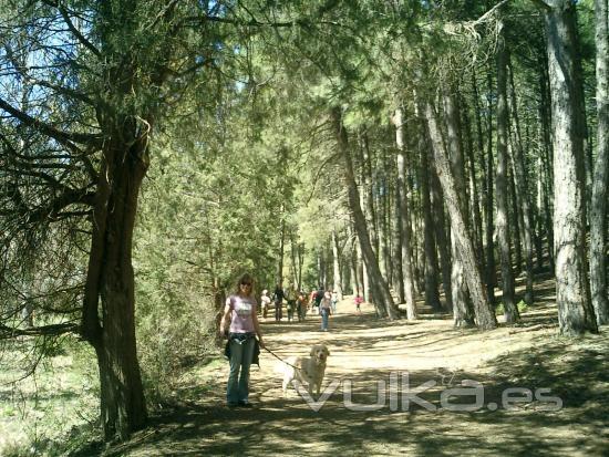 Paseo por el Can de Ro Lobos