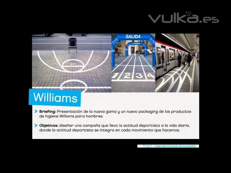 Proyecto presentado a Williams