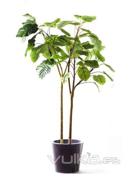 planta artificial. oasisdecor.com plantas artificiales de calidad