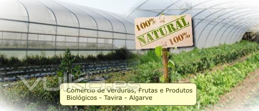 Tavira horta formosa agricultura biolgica