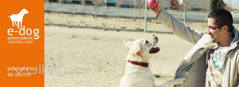 Paseadores de Perros en Zaragoza