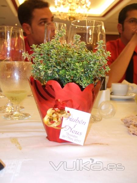 Venta de plantas Aromáticas para eventos y celebraciónes.