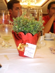Venta de plantas aromticas para eventos y celebracines.